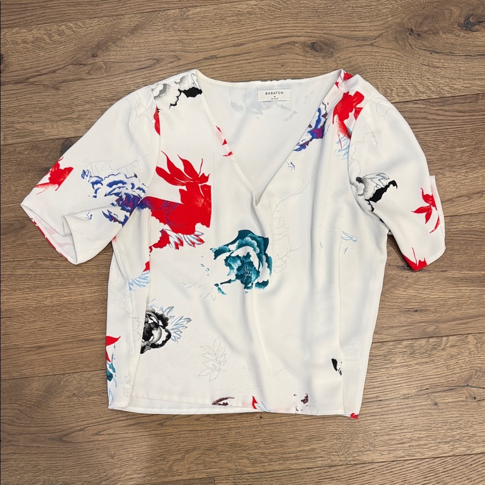 aritzia top
